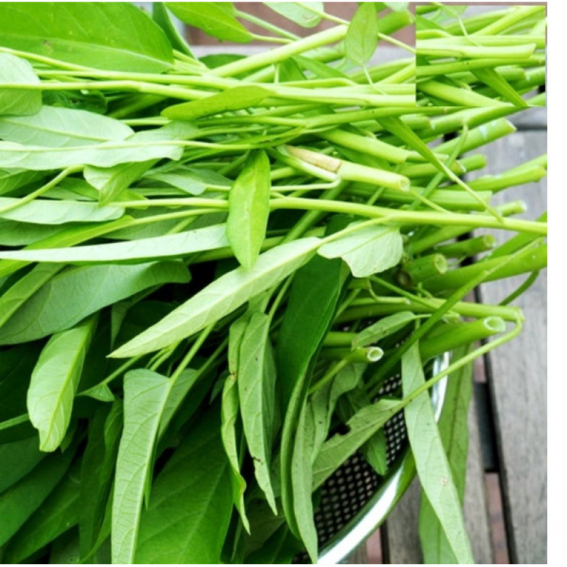 Đọt lang/rau muống hạt/rau má (kg)